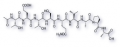 Rhodopsin Nonapeptide (C1'-C9')
