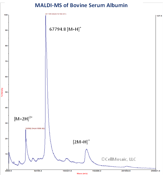 MALDI-MS of Bovine Serum Albumin