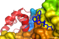 drug bioconjugates