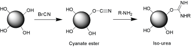 CNBr activation of solid support